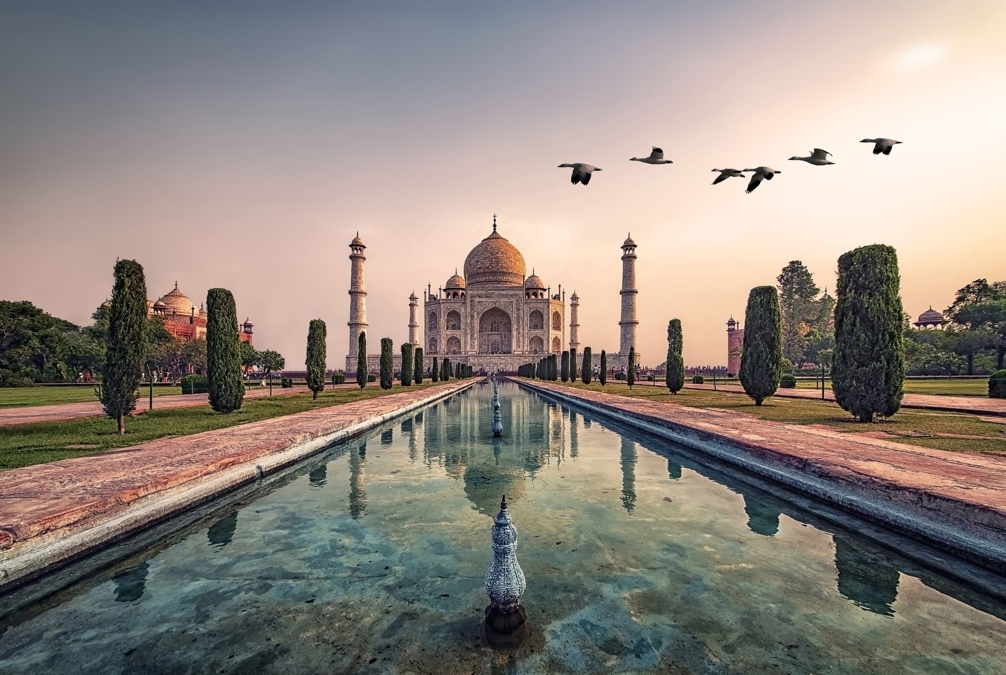 The Taj Mahal at golden hour, mirrored in its long reflecting pool with birds overhead